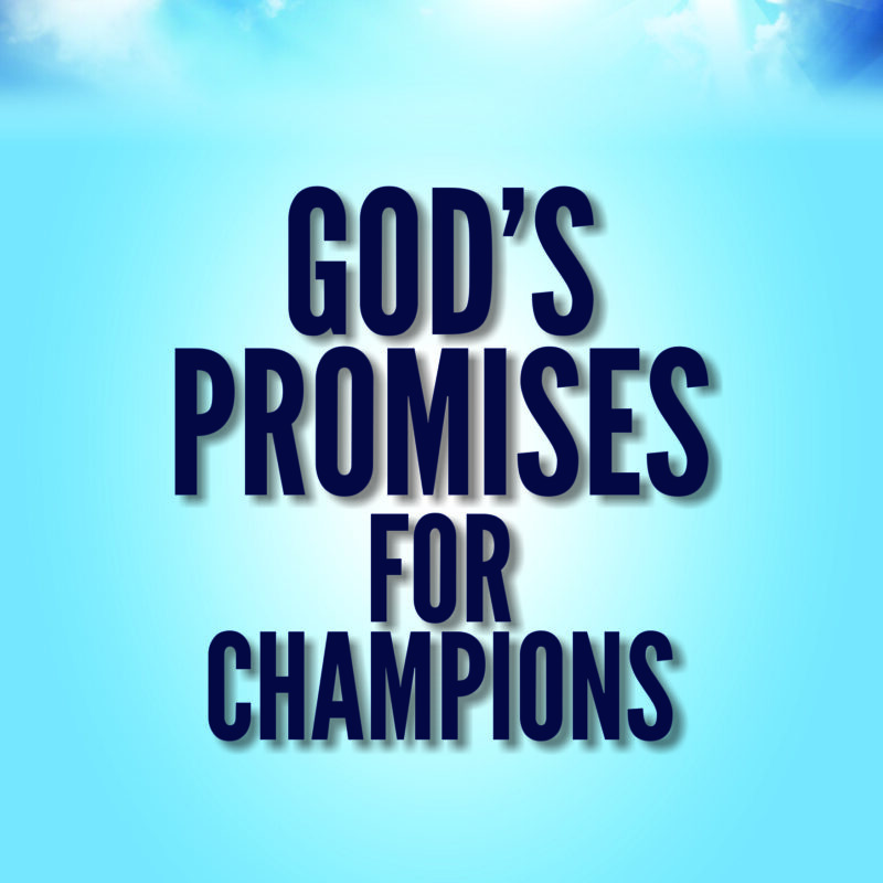 God's Promises for Champions